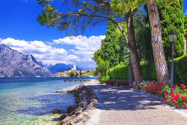 Day Trip from Bergamo to Lake Garda