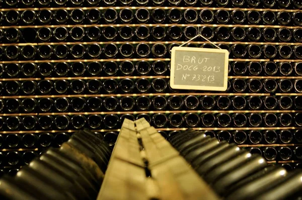 Tasting in the Best Wineries of Franciacorta